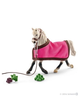 Horse Club Klacz rasy arabskiej