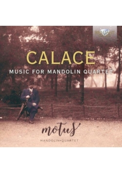 Music For Mandolin Quartet