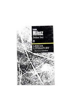 Lekcja literatury
