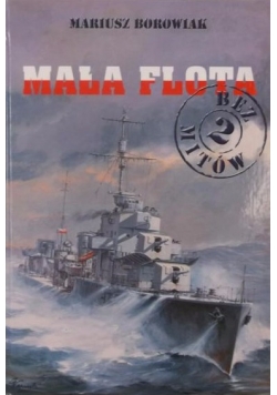 Mała flota bez mitów, Tom 2