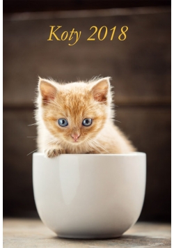 Kalendarz 2018 wieloplanszowy Koty dwustronny