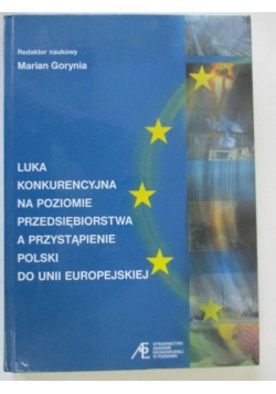 Luka konkurencyjna na poziomie przedsiębiorstwa a przystąpienie Polski do Unii Europejskiej