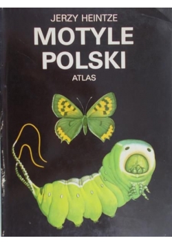 Motyle Polski