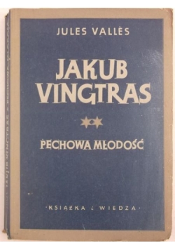 Jakub Vingtras, Tom II. Pechowa młodość