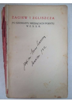 Żagiew i zgliszcza, 1931 r.
