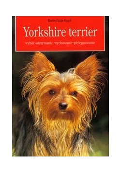 Yorkshire terrier
