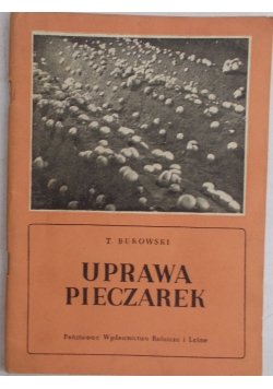 Uprawa pieczarek