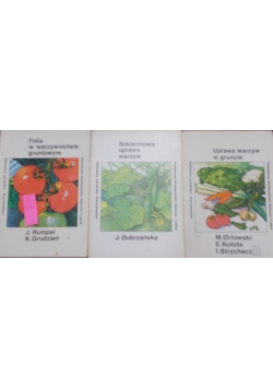 Folia w warzywnictwie gruntowym / Uprawa warzyw w gruncie / Szklarniowa uprawa warzyw