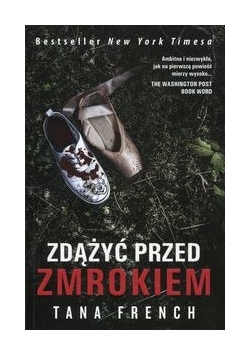 Zdążyć przed zmrokiem