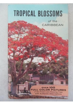 Tropical blossoms of the Caribbean