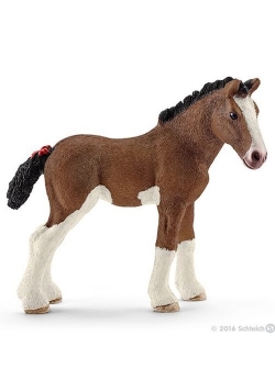 Źrebię Clydesdale