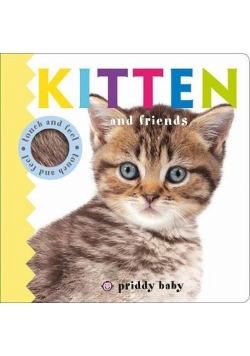 Kitten and Friends