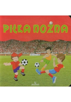 Piłka nożna