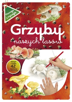 Grzyby naszych lasów