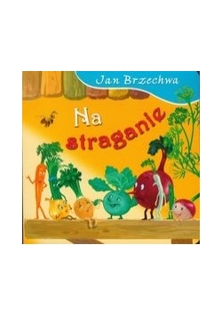 Na straganie