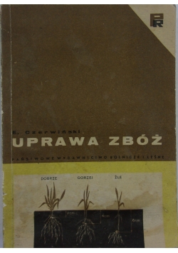 Uprawa zbóż