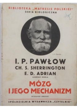 Mózg i jego mechanizm