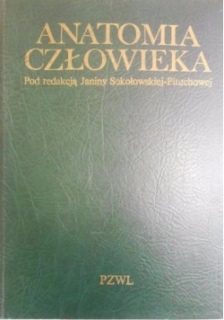 Anatomia człowieka