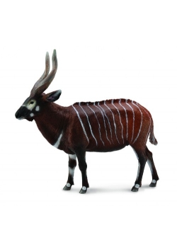 Antylopa Bongo XL