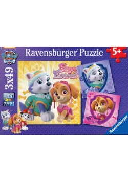 Puzzle Psi patrol 3x49