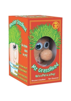 Pan Trawowłosy Mr Grasshead