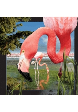 Magnes 3D - Flaming