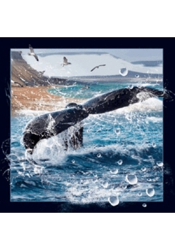 Magnes 3D - Ogon wieloryba