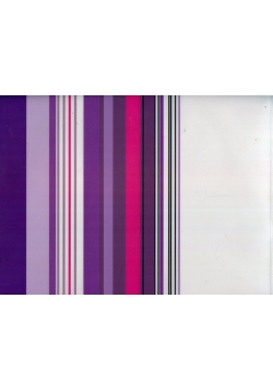 Koszulka Zipper Bag Donau A4 fioletowa mix