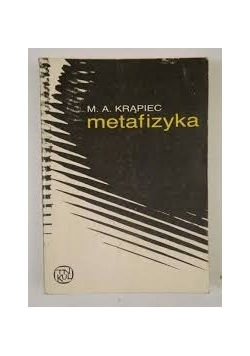 Metafizyka