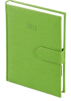 Kalendarz 2018 A5 dzienny na magnes seledyn