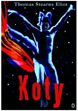 Koty