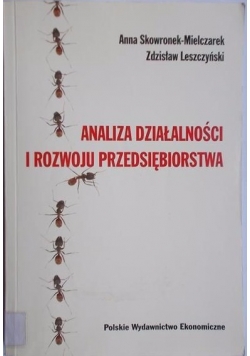 Analiza działalności i rozwoju przedsiębiorstwa