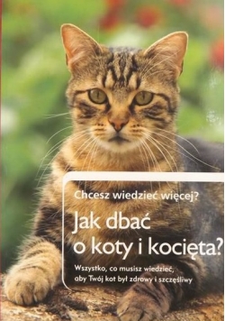 Jak dbać o koty i kocięta?