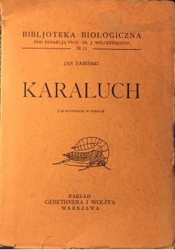 Karaluch, 1931 r.