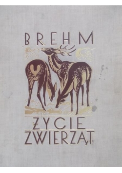 Życie zwierząt, 1936 r.