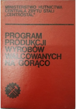 Program produkcji wyrobów walcowanych na gorąco