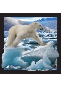 Magnes 3D - Niedźwiedź polarny w skoku