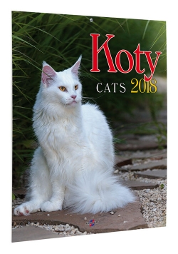 Kalendarz 2018 KSM-4 Koty