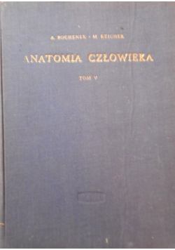 Anatomia człowieka Tom V