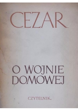 O wojnie domowej