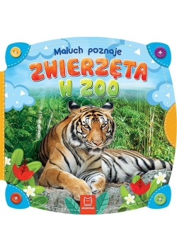 Maluch poznaje zwierzęta w zoo