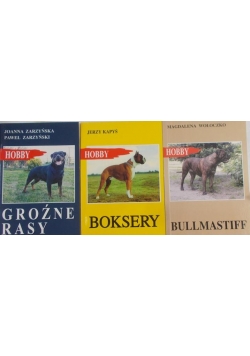 Hobby, Bullmastiff/ Groźne rasy/ Boksery