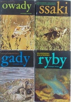 Zwierzęta świata: ryby, ssaki, owady, gady