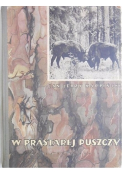W prastarej puszczy