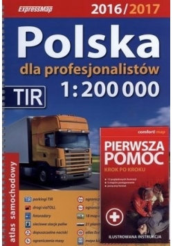 Polska dla profesjonalistów 1:200000