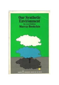 Our Synthetic Environment