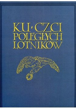 Ku czci poległych lotników