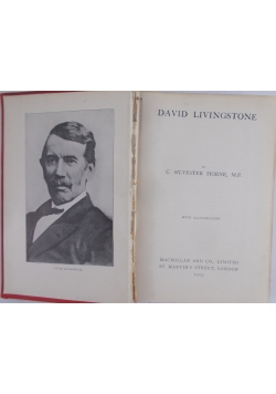 David Livingstone, 1913 r.