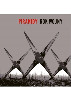 Rok wojny
