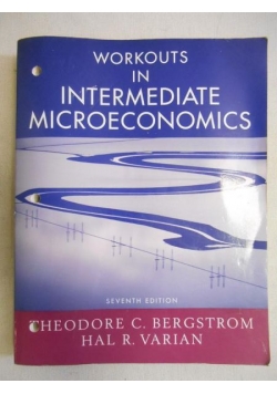 Workouts in intermediate microeconomics